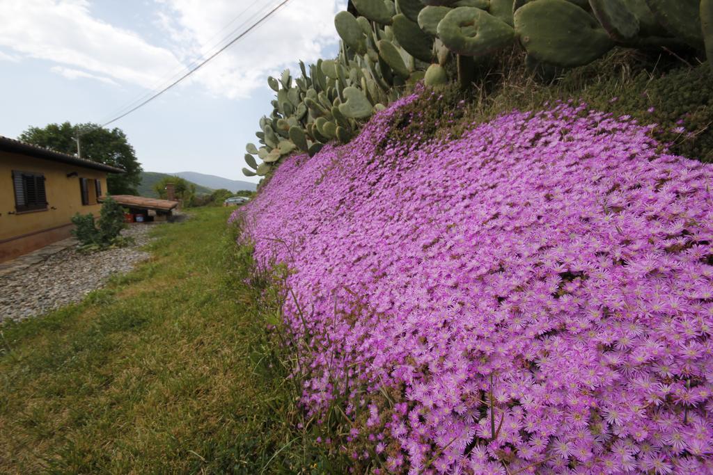 Agriturismo Cupido Montiano  Cameră foto